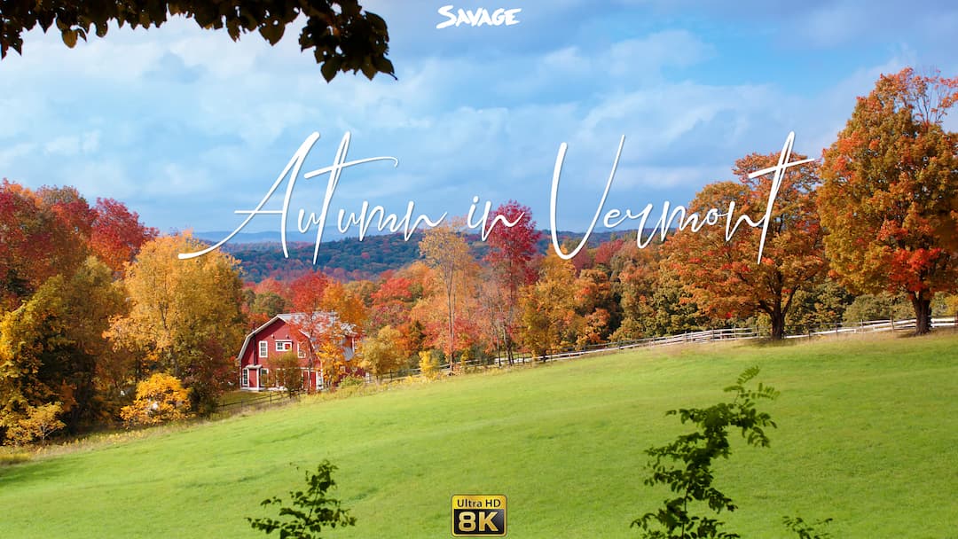 Vibrant Autumn Colors in Vermont